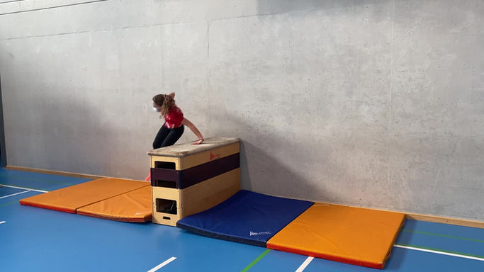 s1d_wall-run mit handstütz - 3/4 elemente